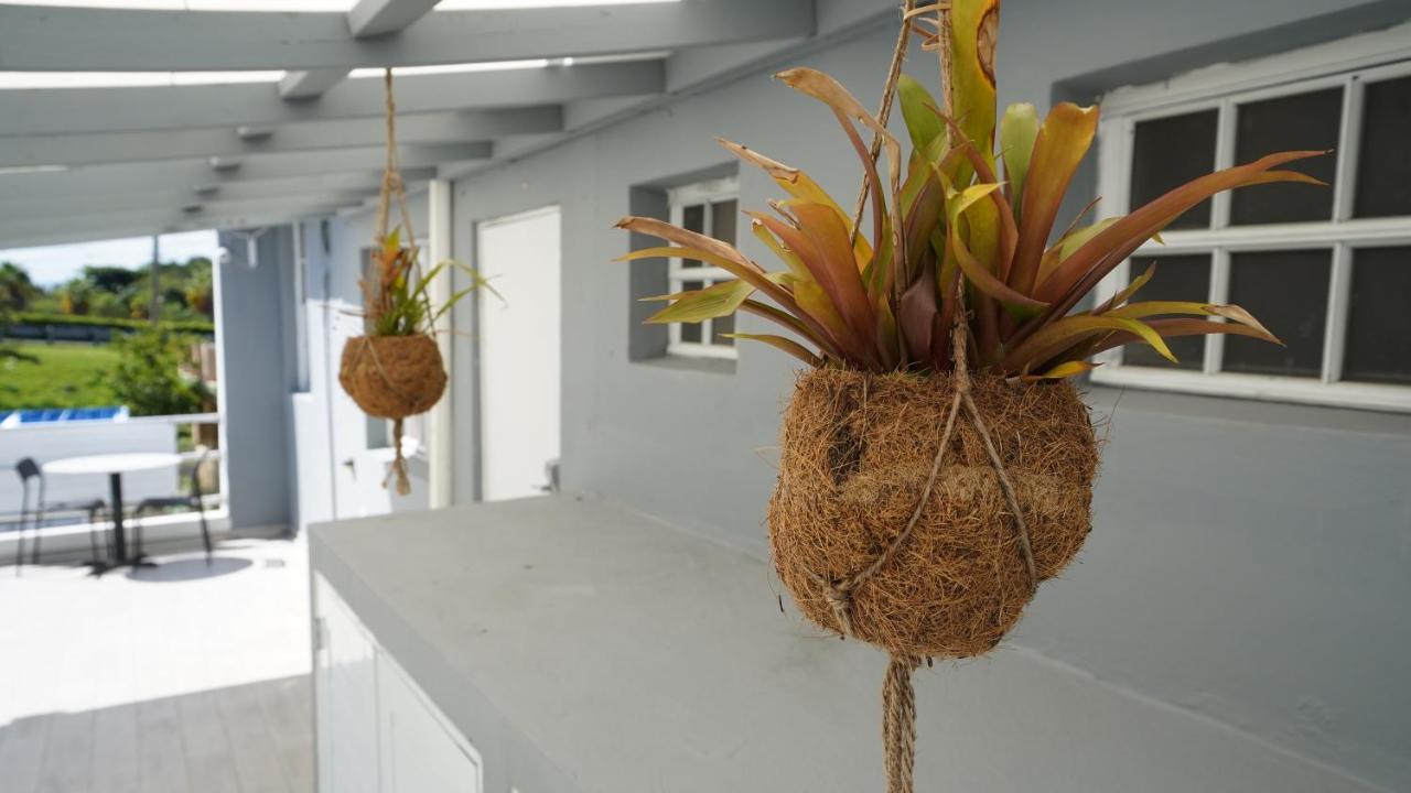 The Pelican Poshtel ซานฮวน ภายนอก รูปภาพ